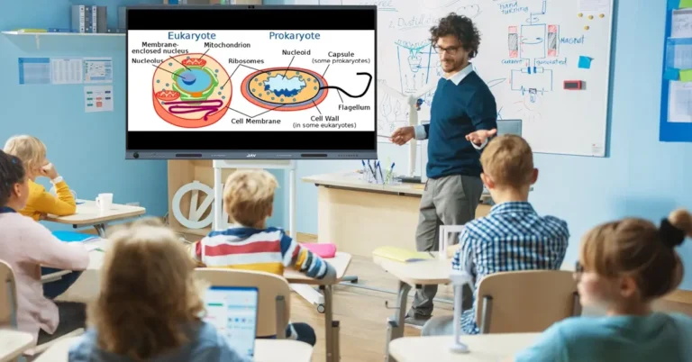 jav board 19 interactive whiteboard for teaching biology class